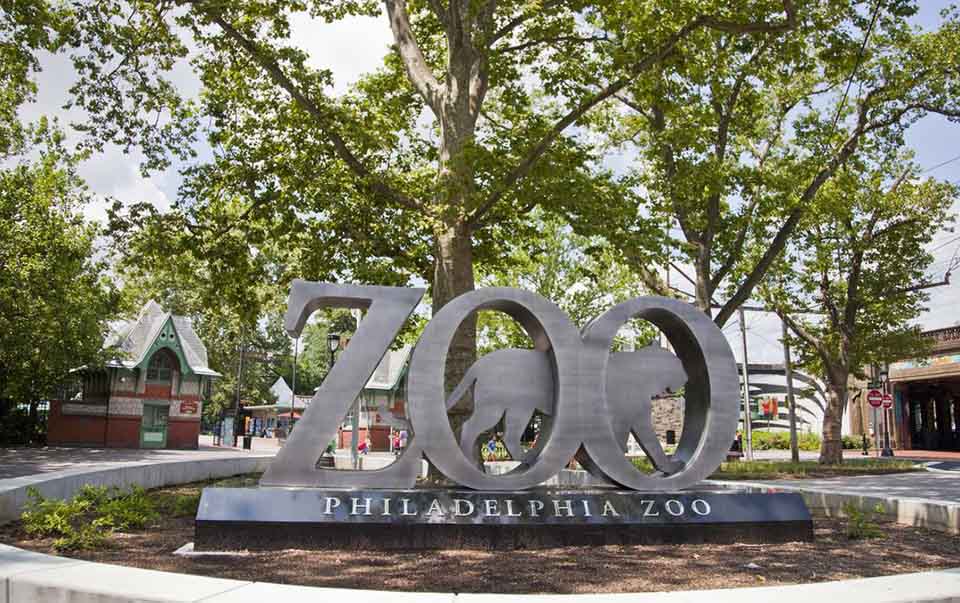 Top 10 Must-Visit Attractions in Philadelphia: A Journey Through the City of Brotherly Love